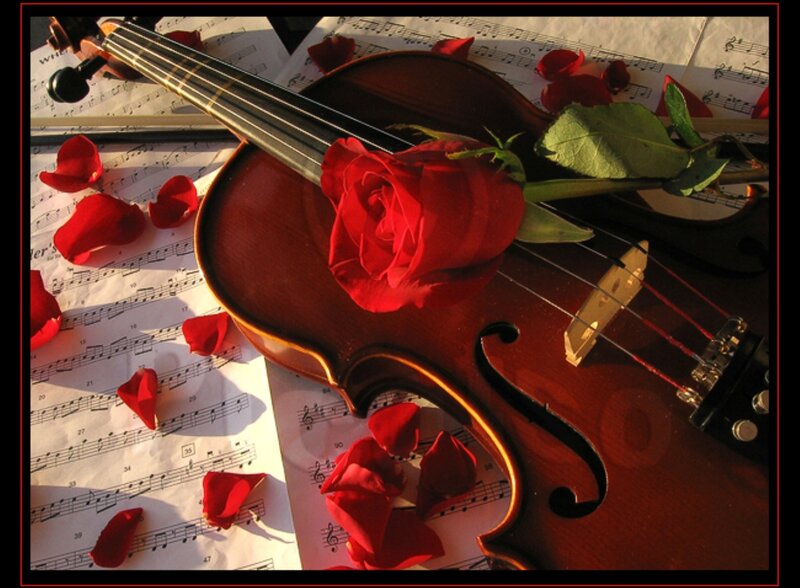 Violin with Rose — Red