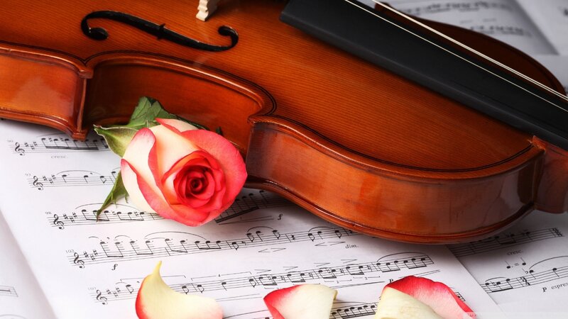 Violin with Rose — Serene