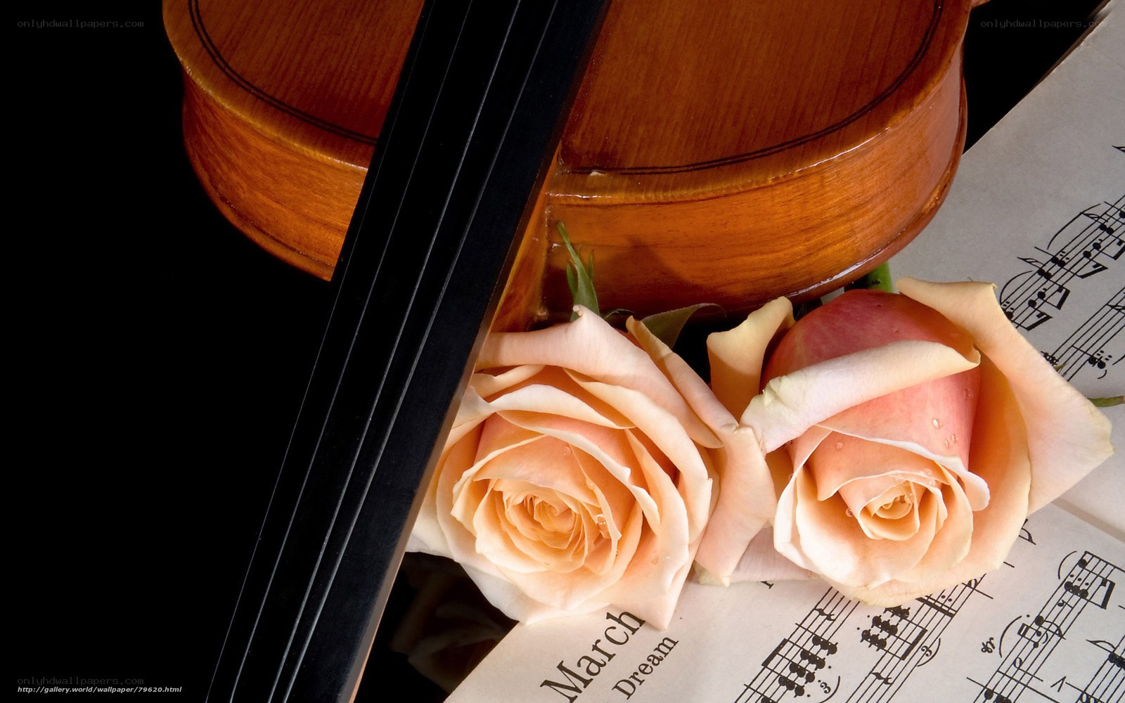 Violin with roses and sheet music