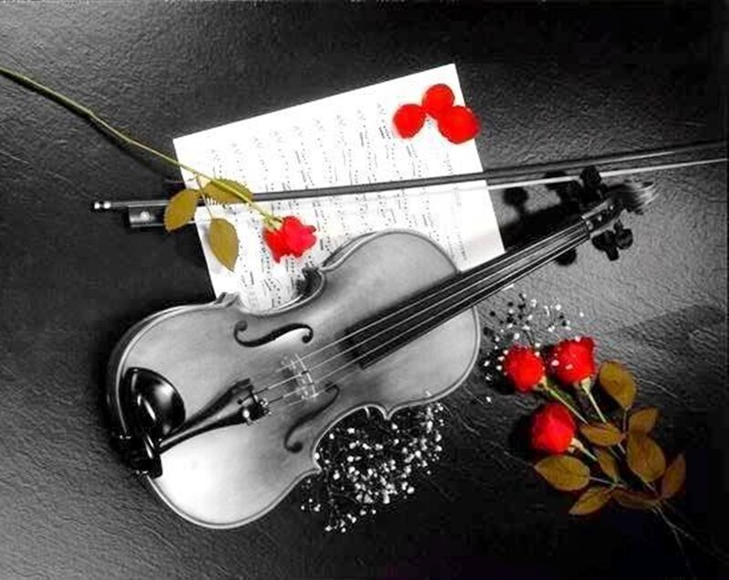 Violin with Roses — Black, Romantic
