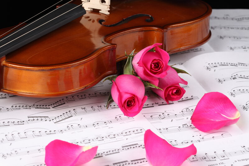 Violin with Roses — Brown, Romantic