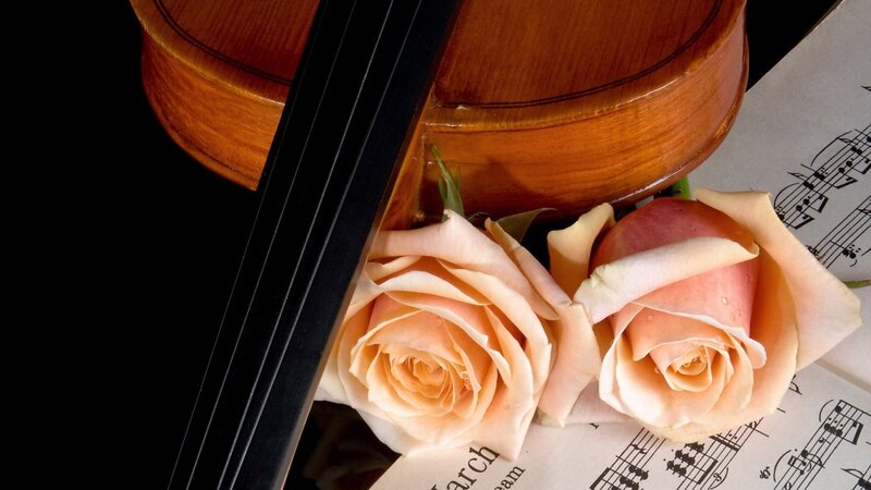 Violin with Roses — Brown, Serene