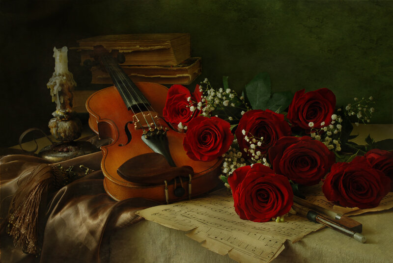 Violin with Roses — Red, Dramatic