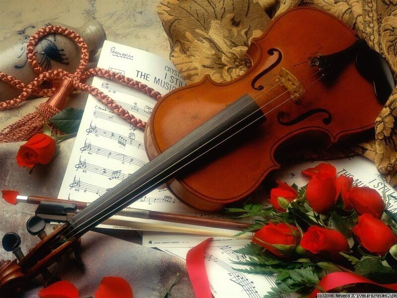 Violin with Roses — Red, Romantic, Photograph, Sheet Music, Bow, Fabric, Brown