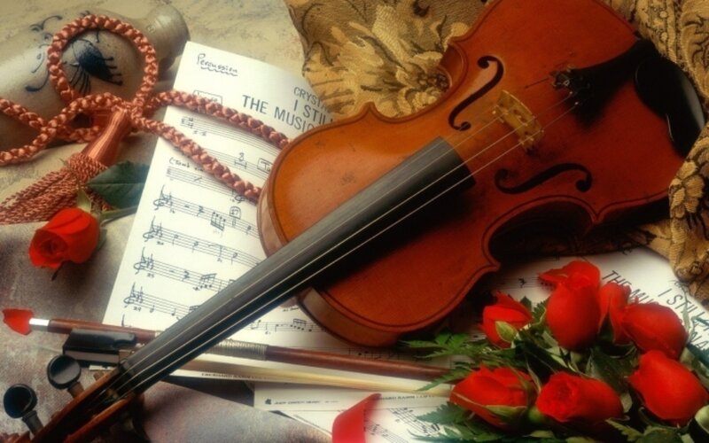 Violin with Roses — Red, Romantic, Photograph
