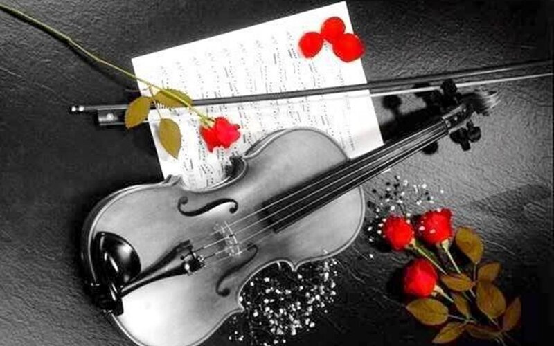 Violin with Sheet Music — Black, Dramatic, Photograph