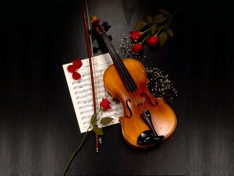 Violin with Sheet Music — Brown