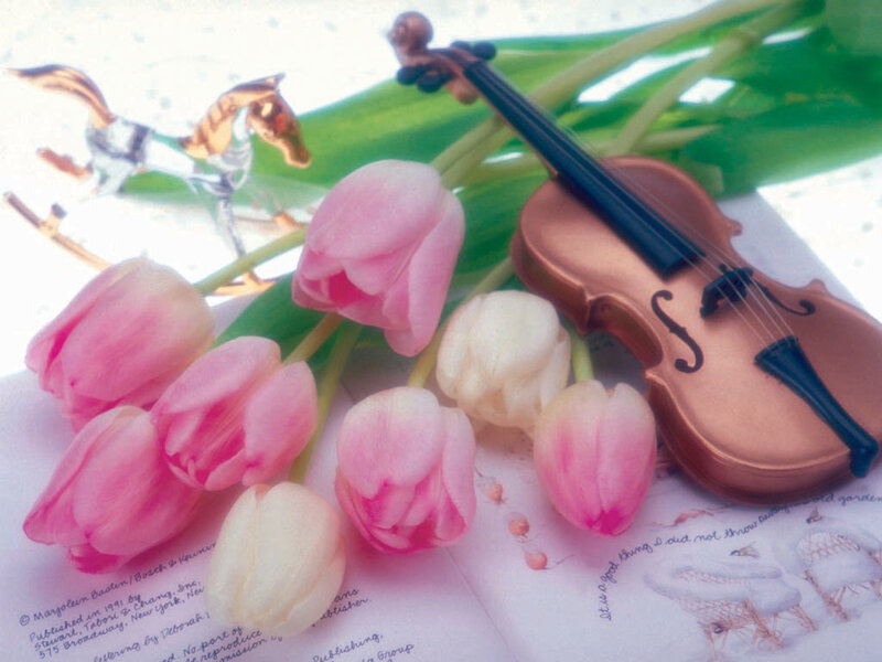 Violin with tulips on paper