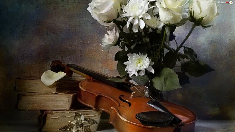 Violin with White Flowers