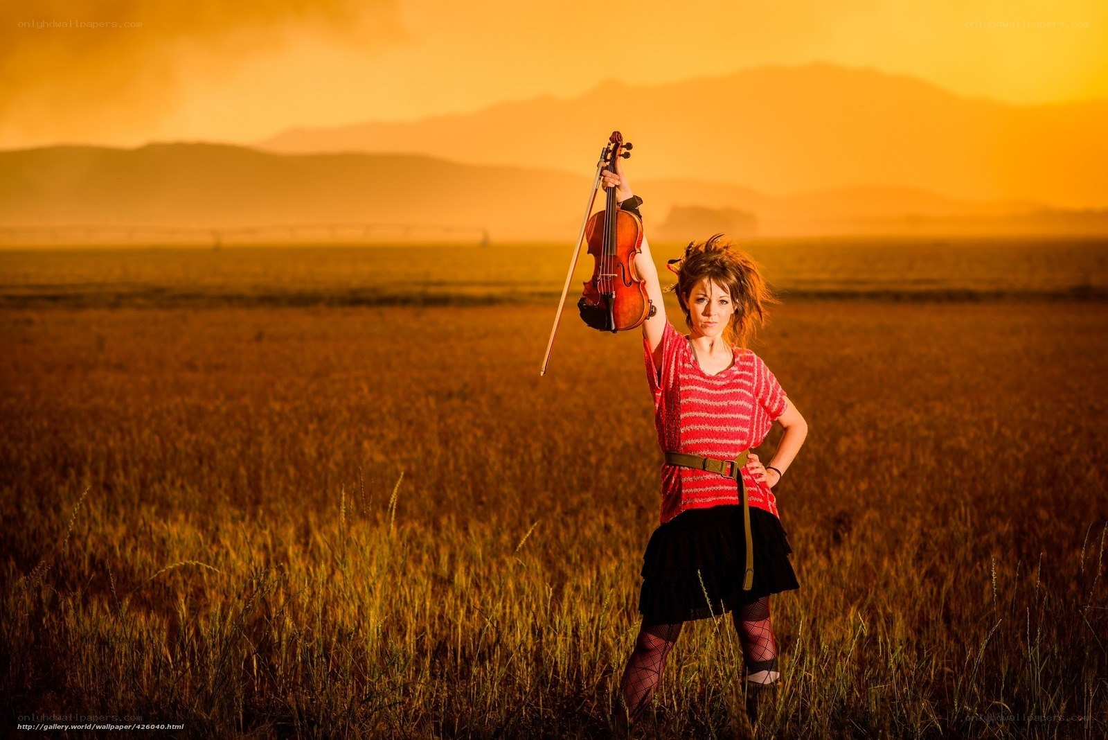 Violinist in a golden field