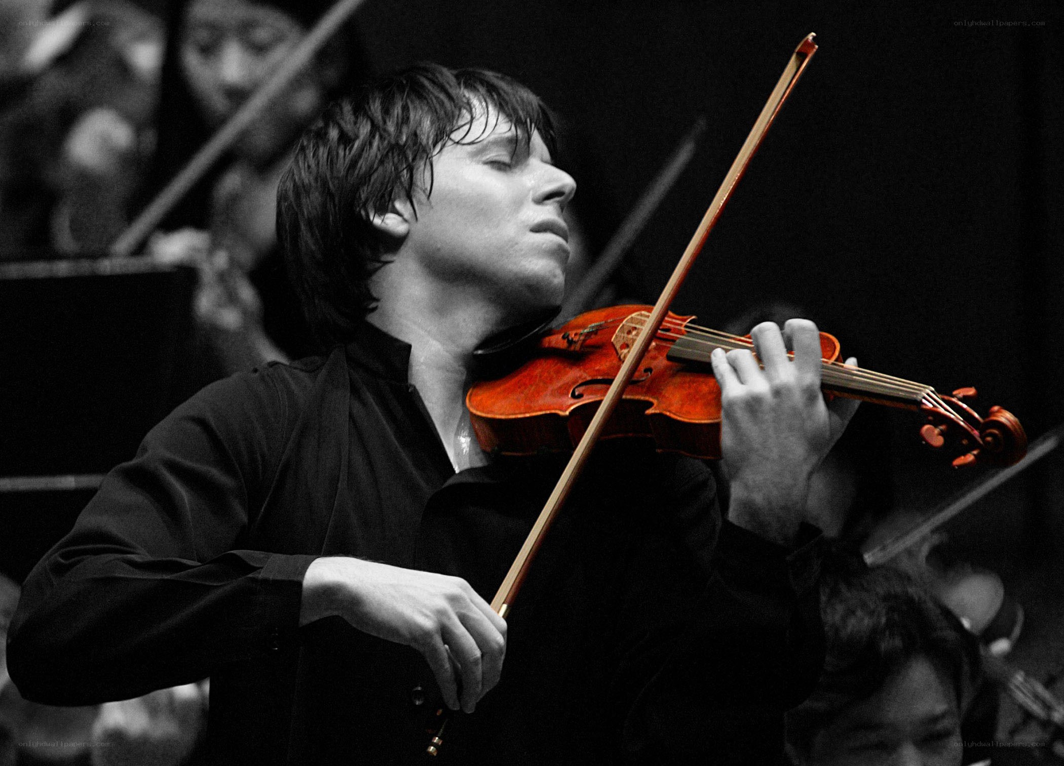 Violinist performing in concert