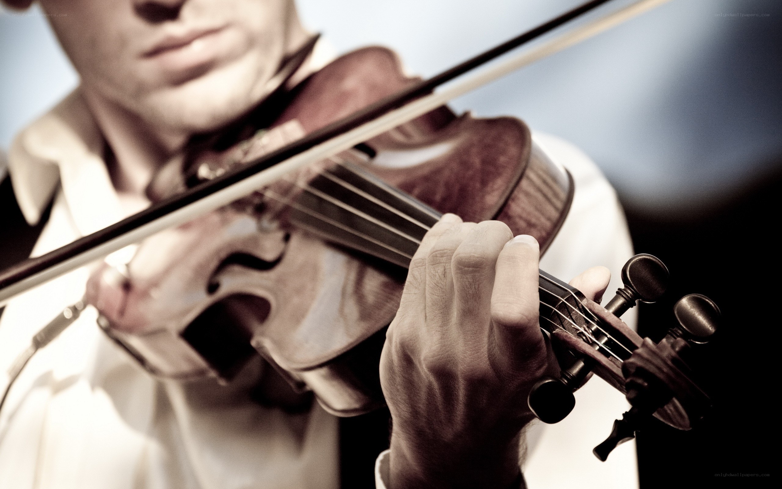 Violinist playing the violin