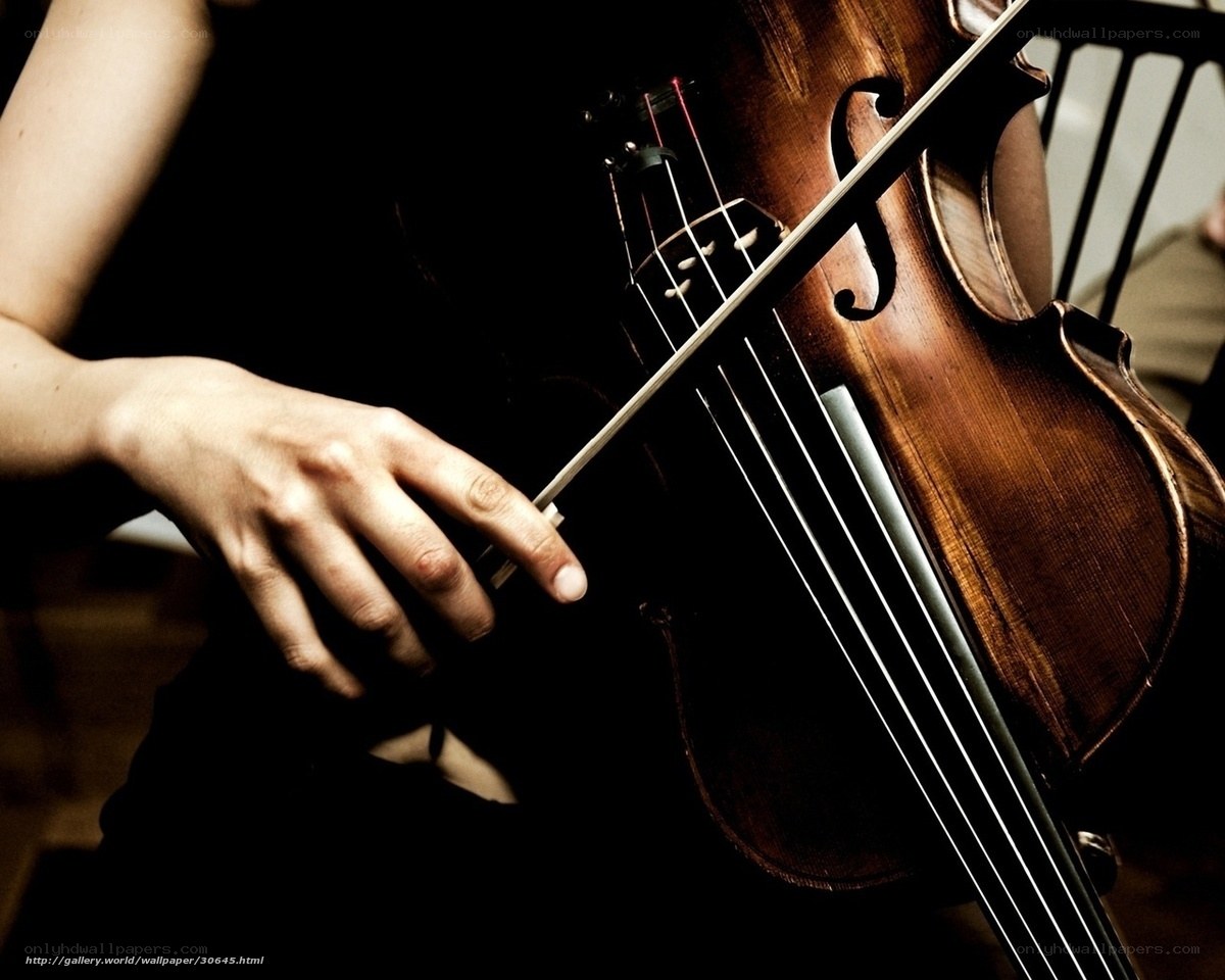 Violinist playing the violin