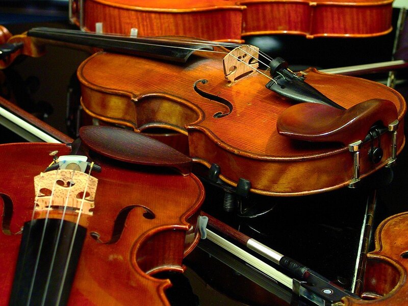 Violins in a case