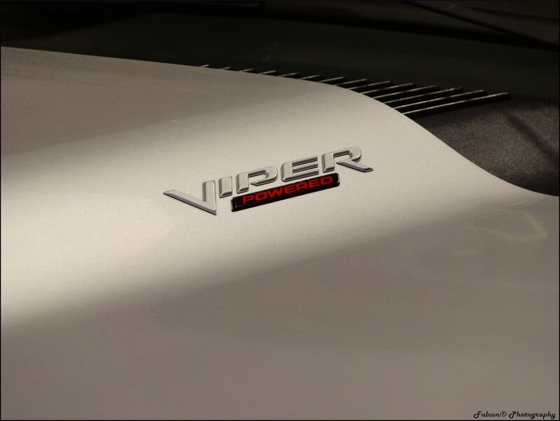 Viper Badge on Car