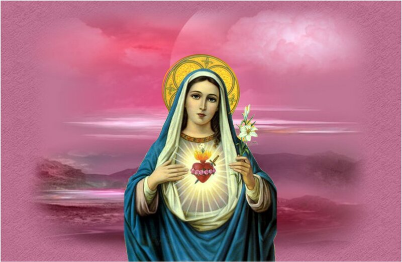 Virgin Mary with Heart — Pink