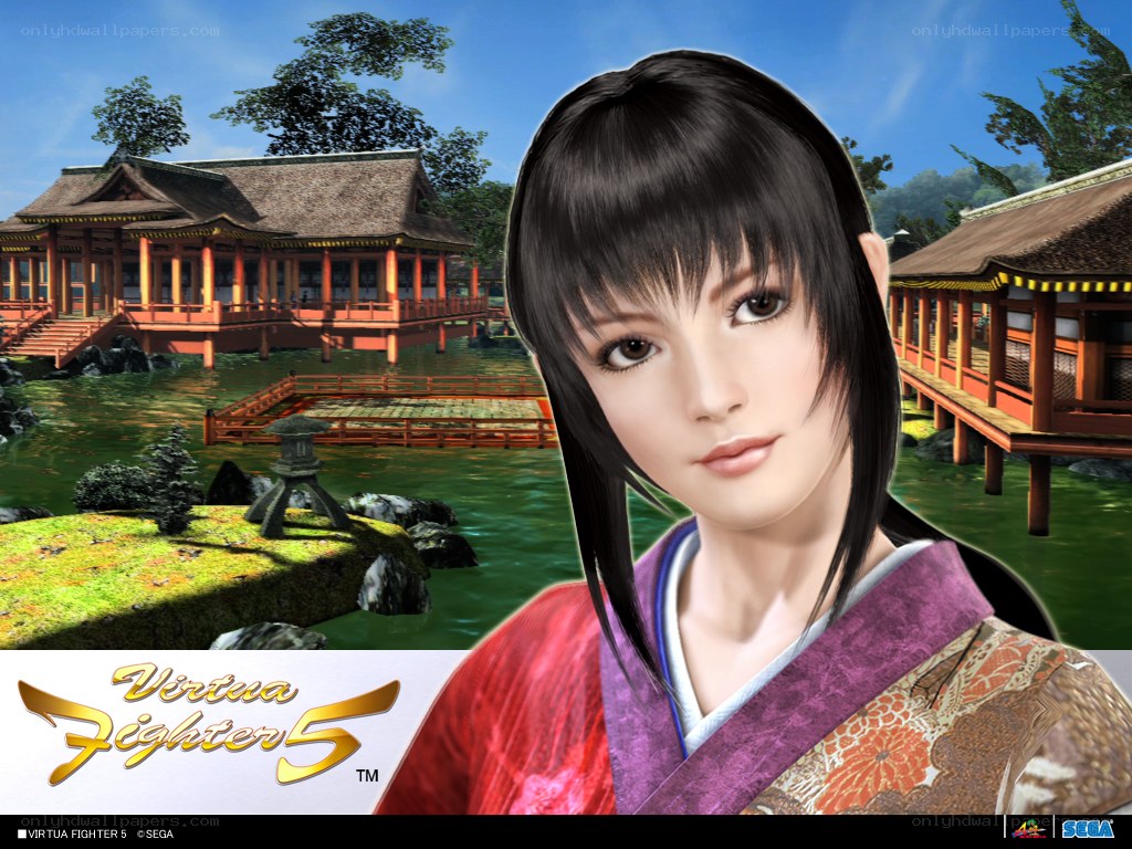 Virtua Fighter 5 character art