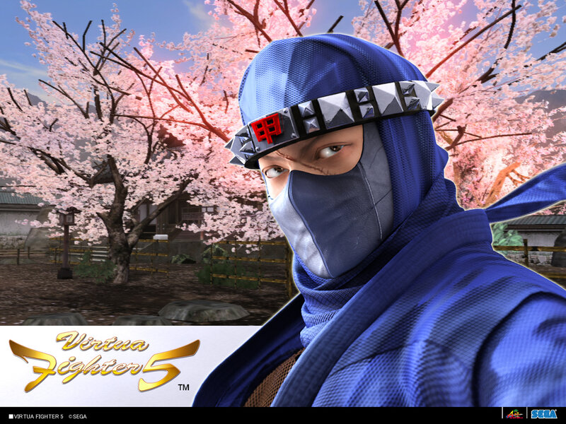 Virtua Fighter 5 character art