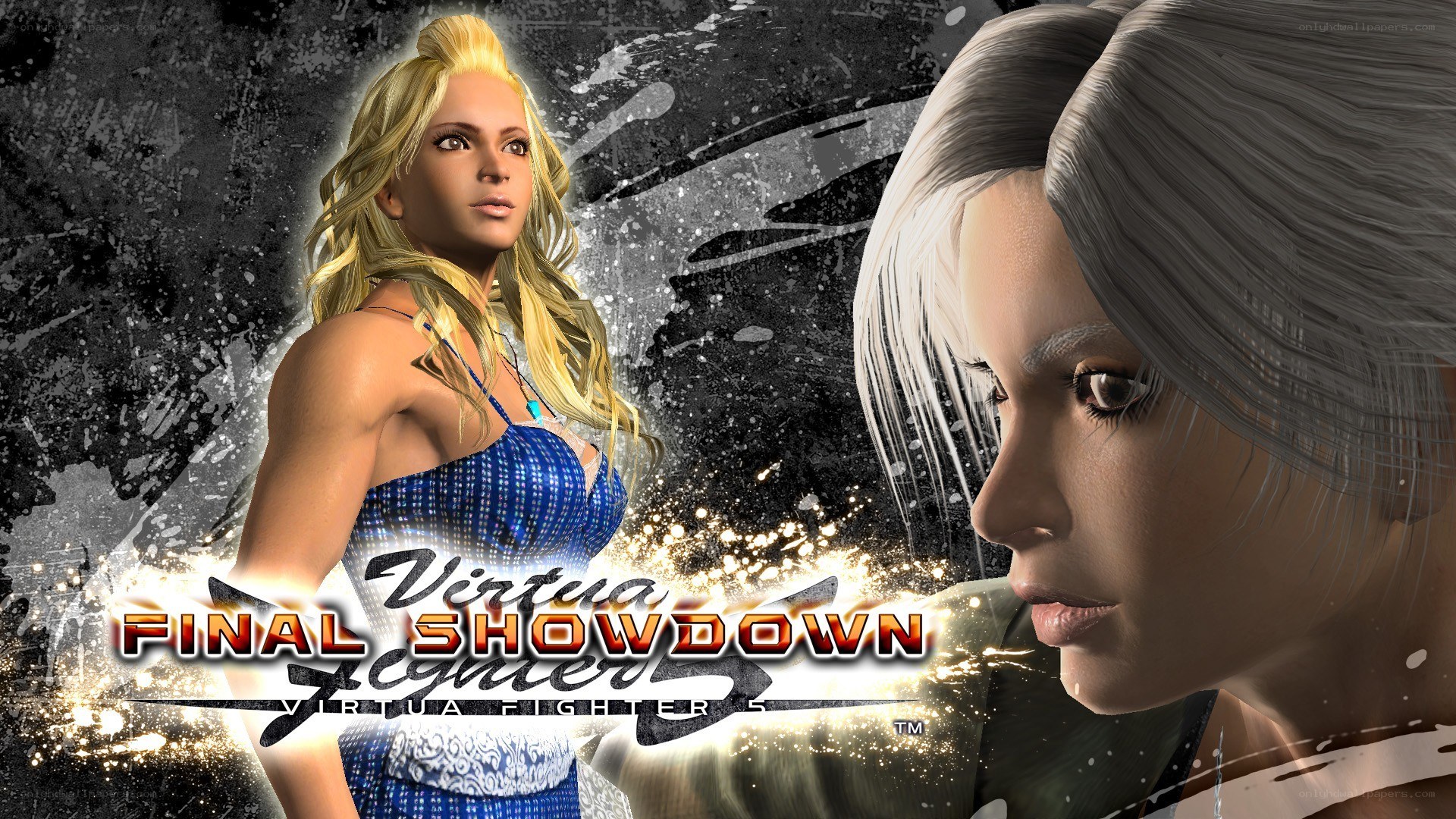 Virtua Fighter 5 Final Showdown