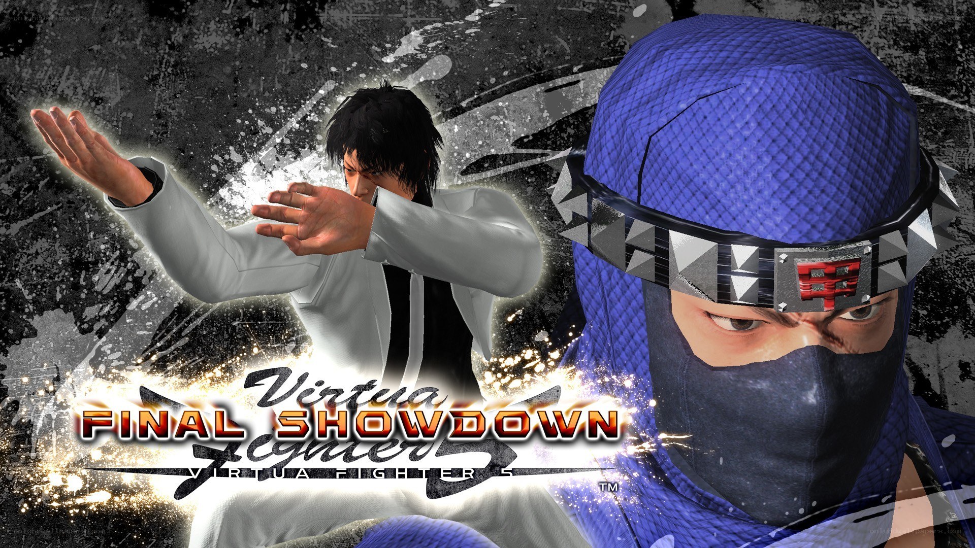 Virtua Fighter 5 Final Showdown