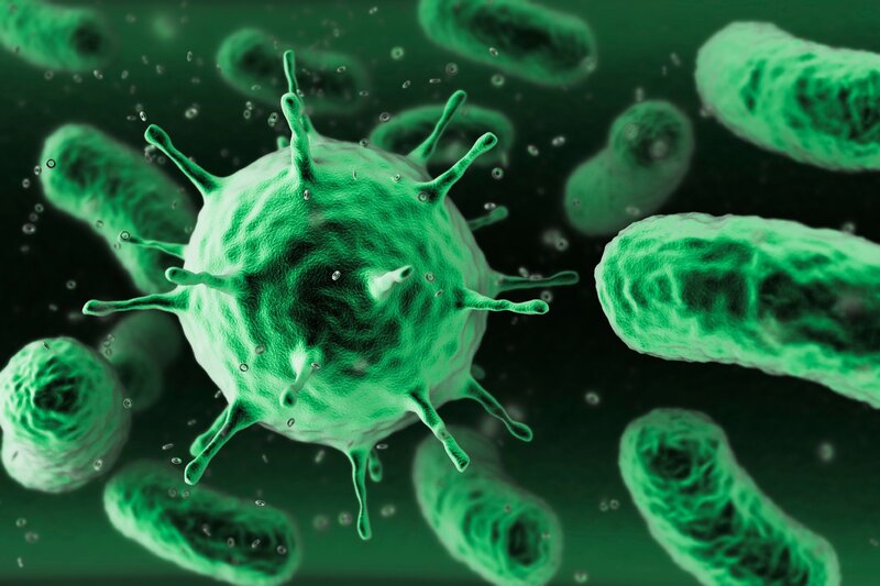 Virus and Bacteria