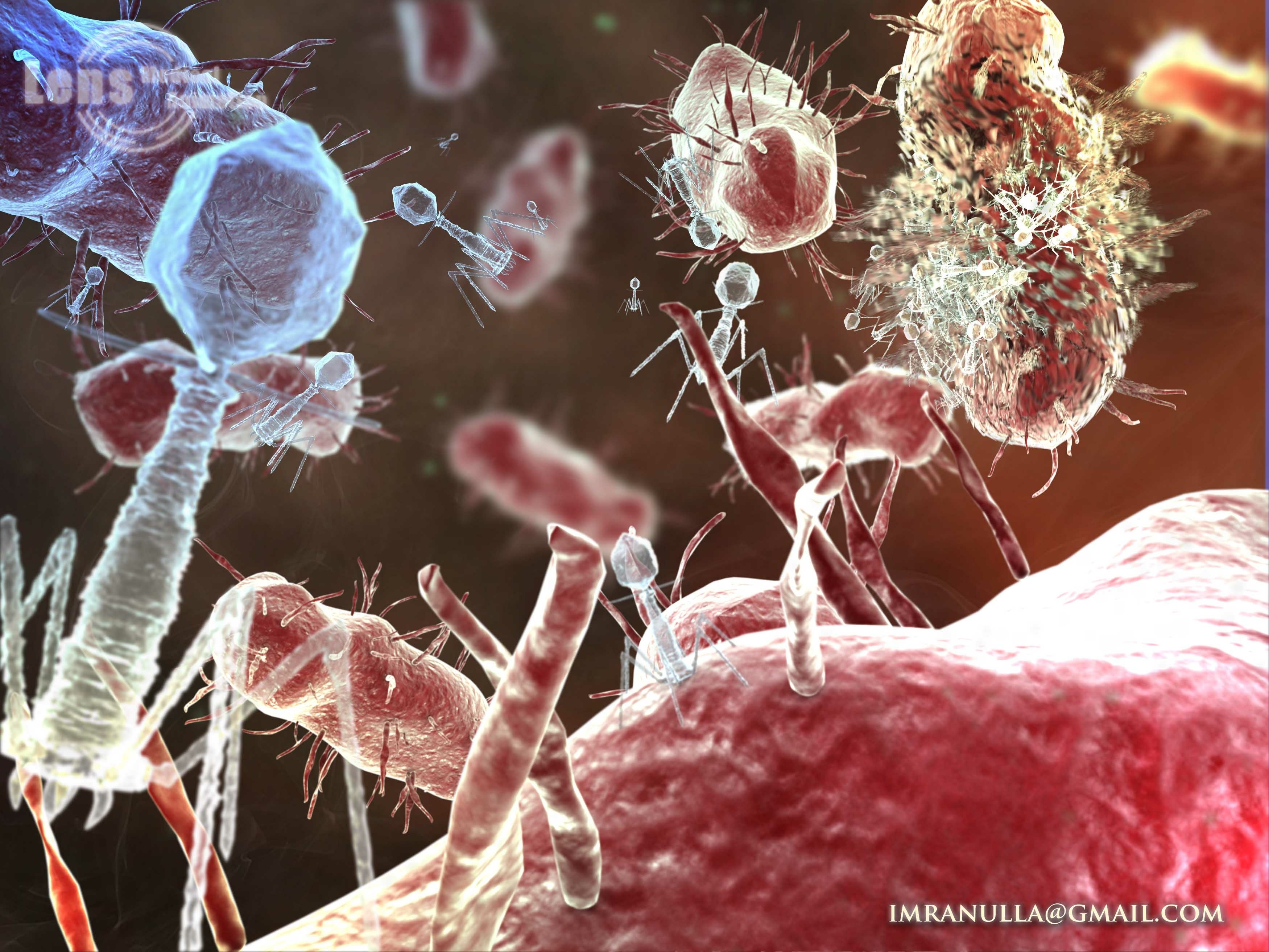 Virus attacking cells