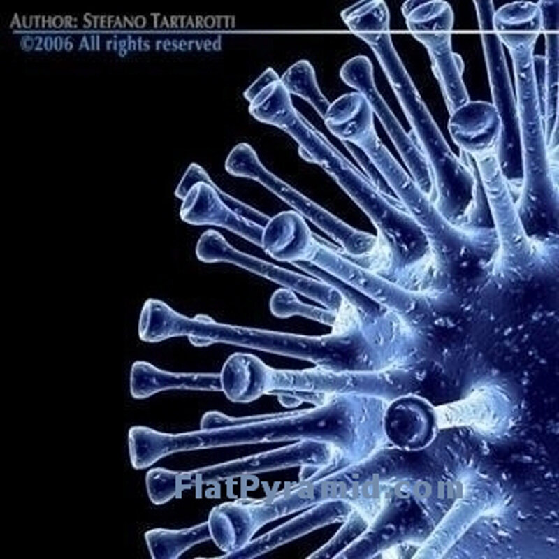 Virus Cell Structure — Blue