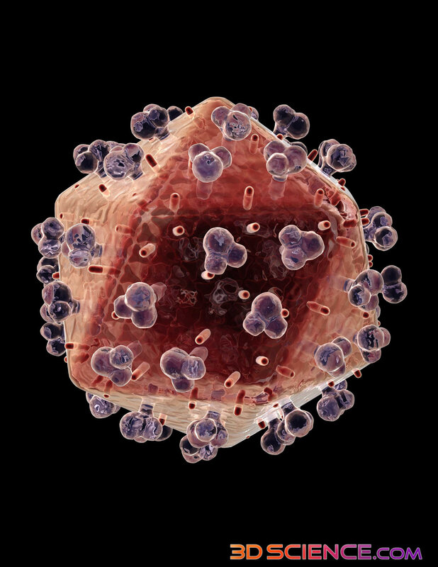 Virus Cell Structure — Red