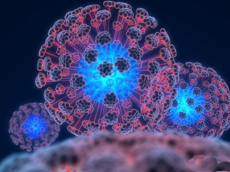 virus cell structure