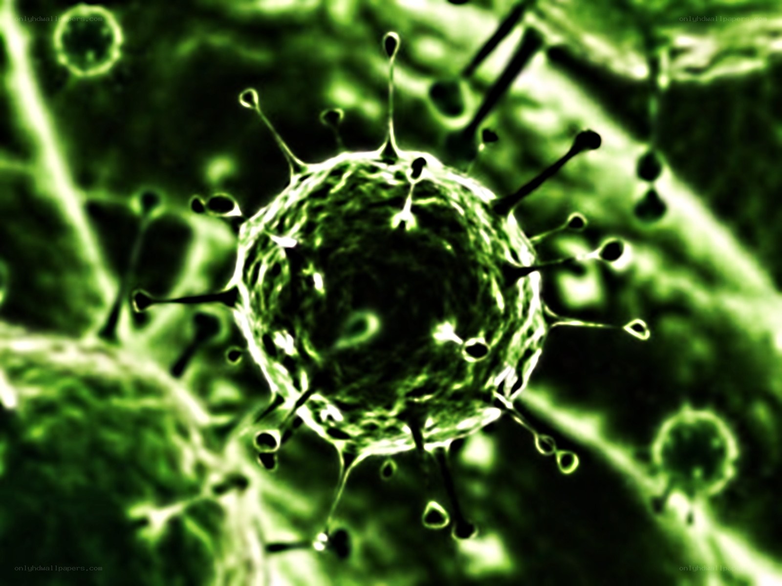virus cell under microscope