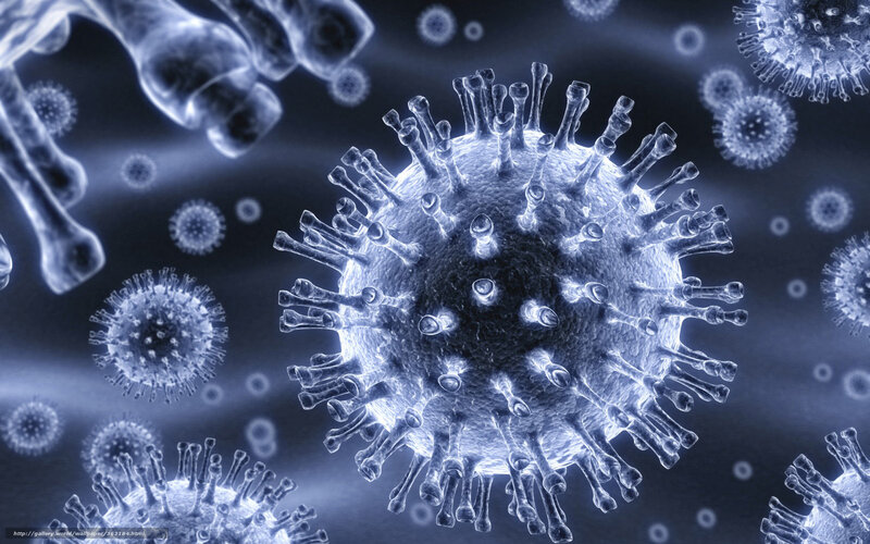 virus cell under microscope