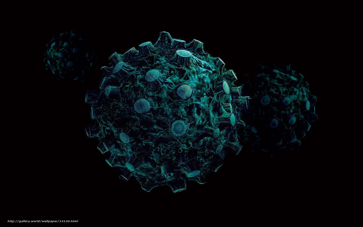 virus cell visualization
