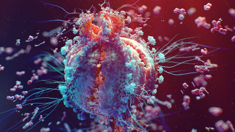 Virus Cell with Filaments