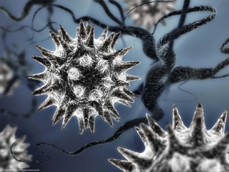 virus cells under microscope