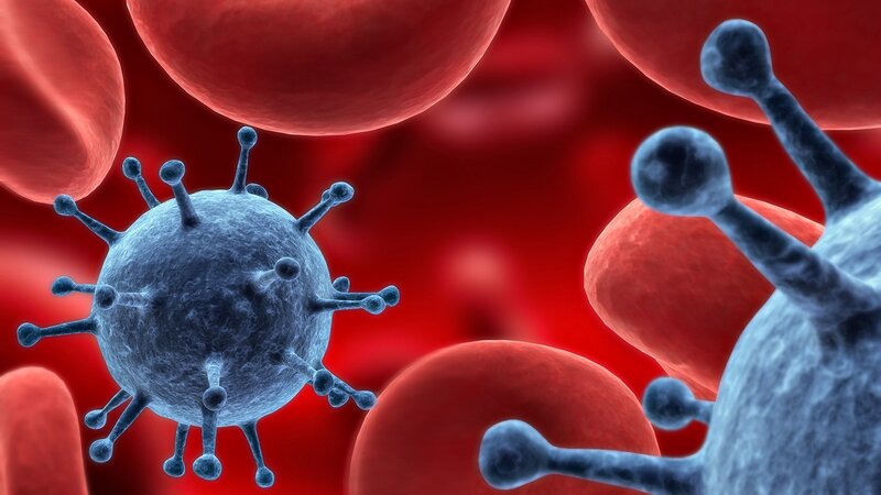 Virus in bloodstream