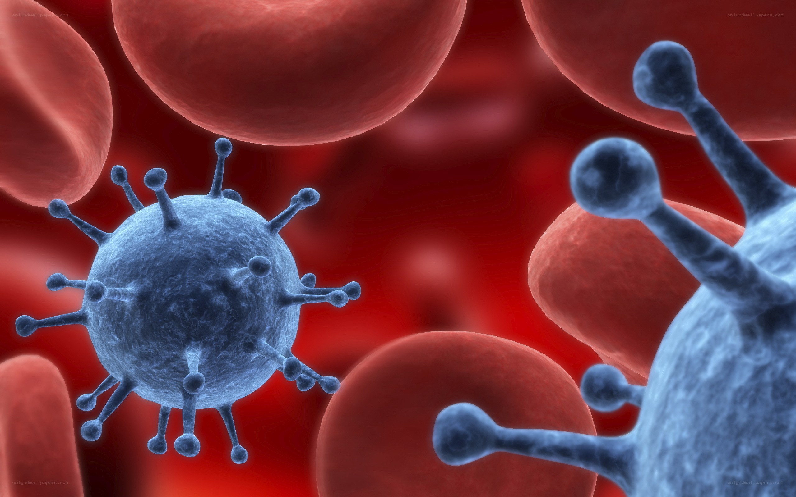 virus in bloodstream
