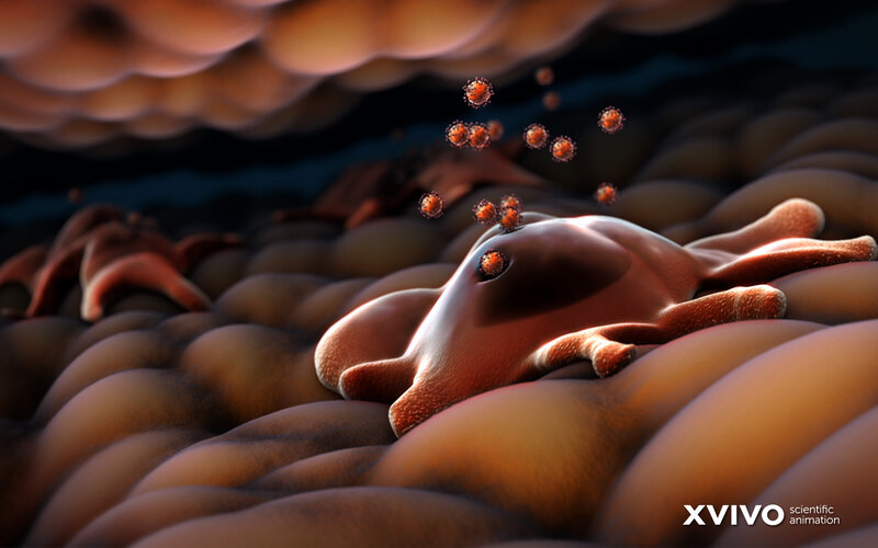 Virus Infecting Cells