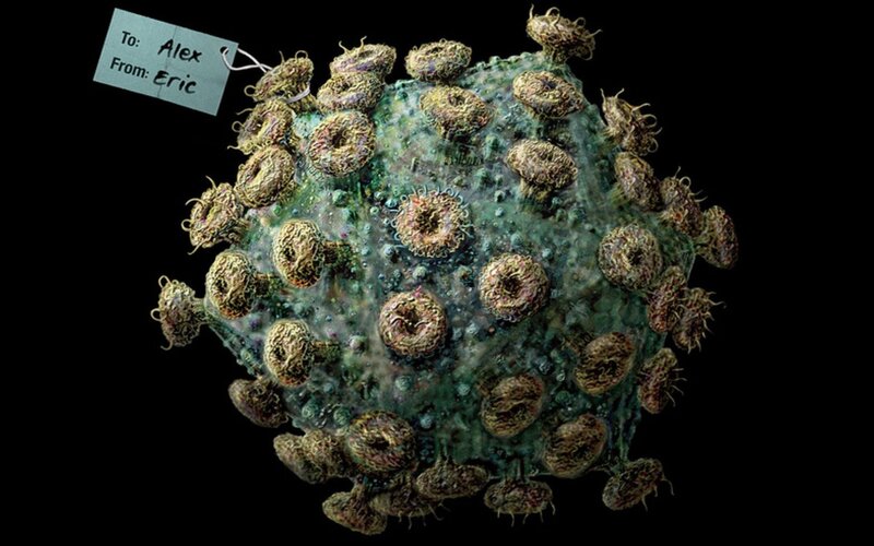 virus with gift tag