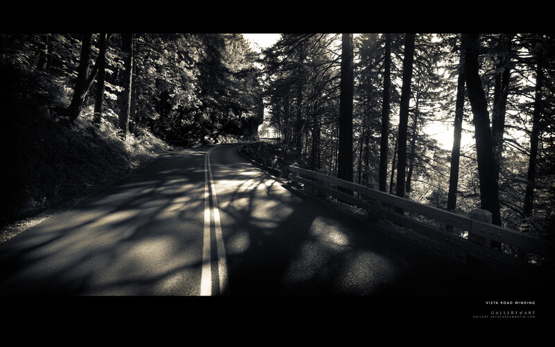 Vista Road Winding