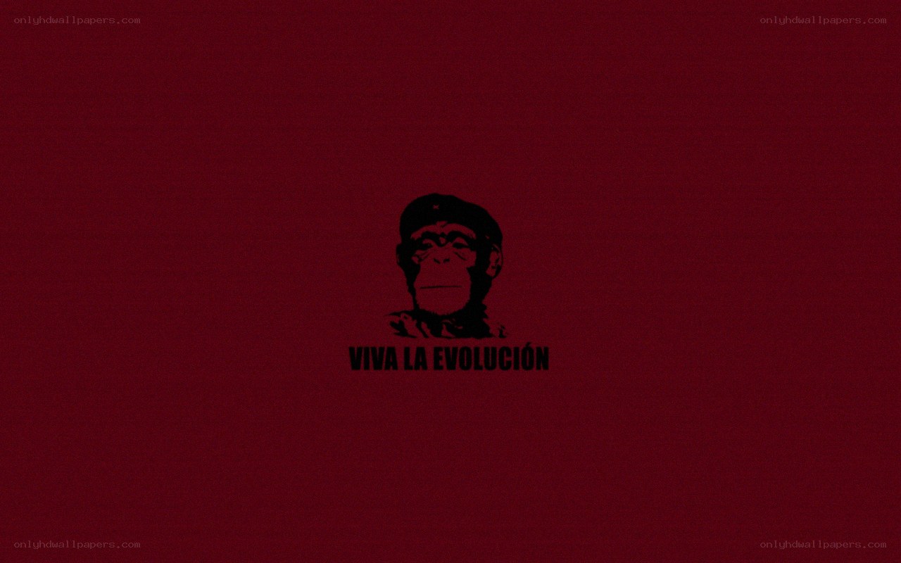 Viva La Evolucion logo
