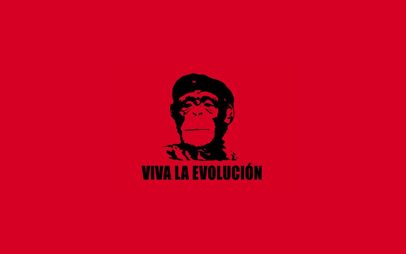 Viva La Evolucion poster