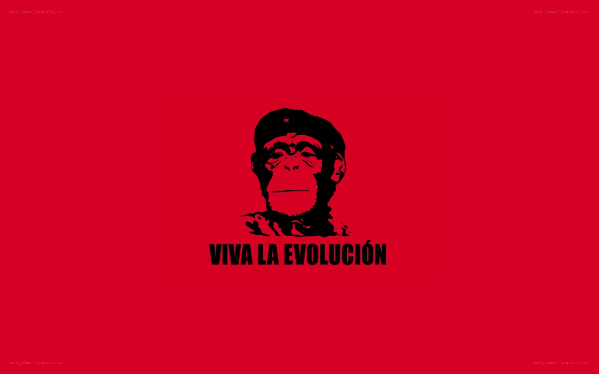 Viva La Evolucion poster