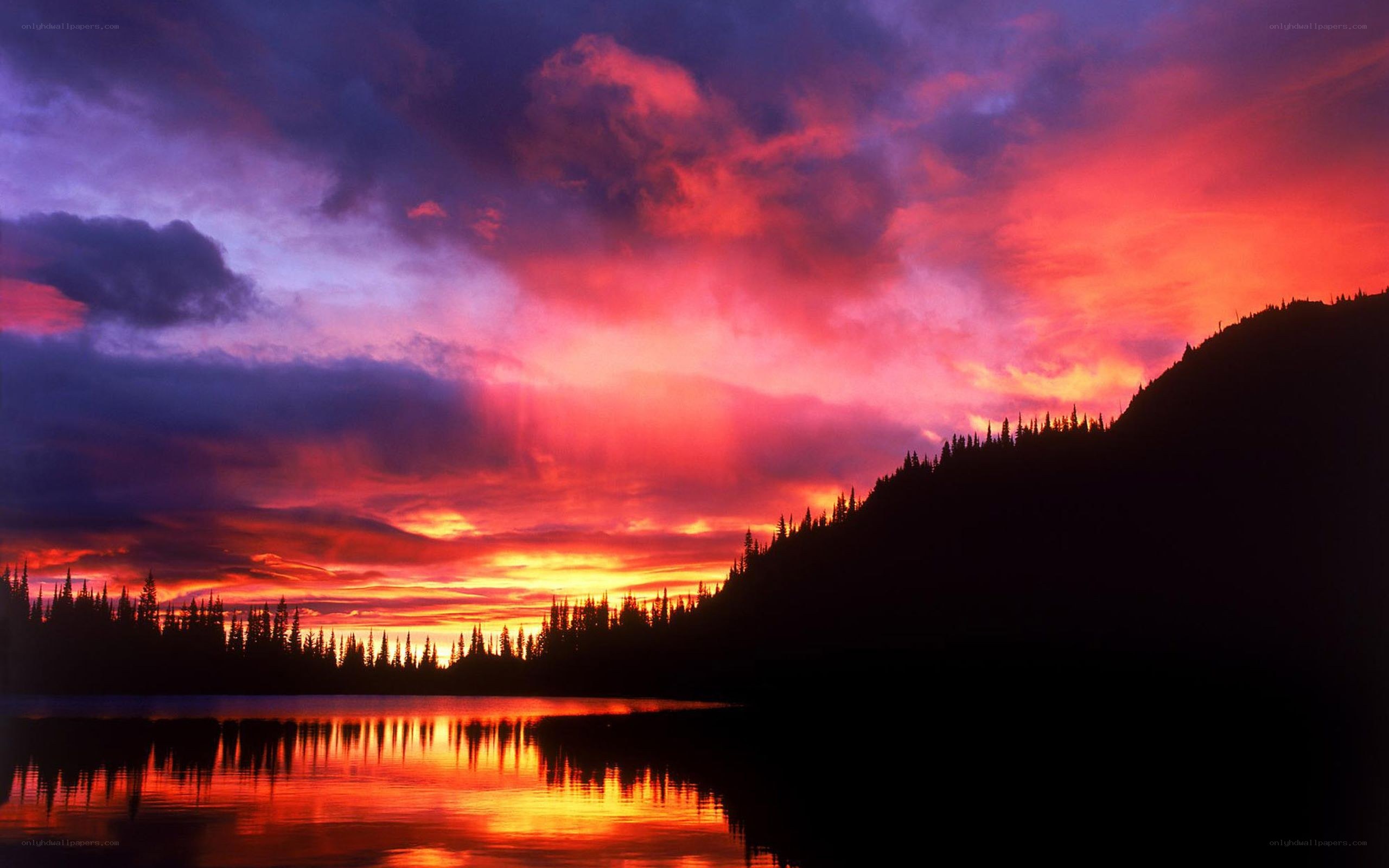Vivid sunset over a forest lake