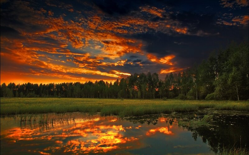 Vivid sunset over a marsh