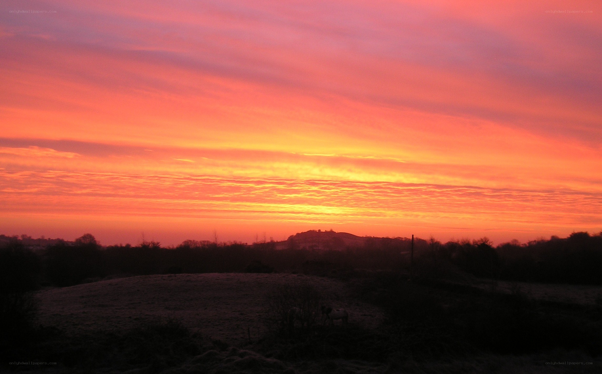 Vivid sunset over a rural landscape