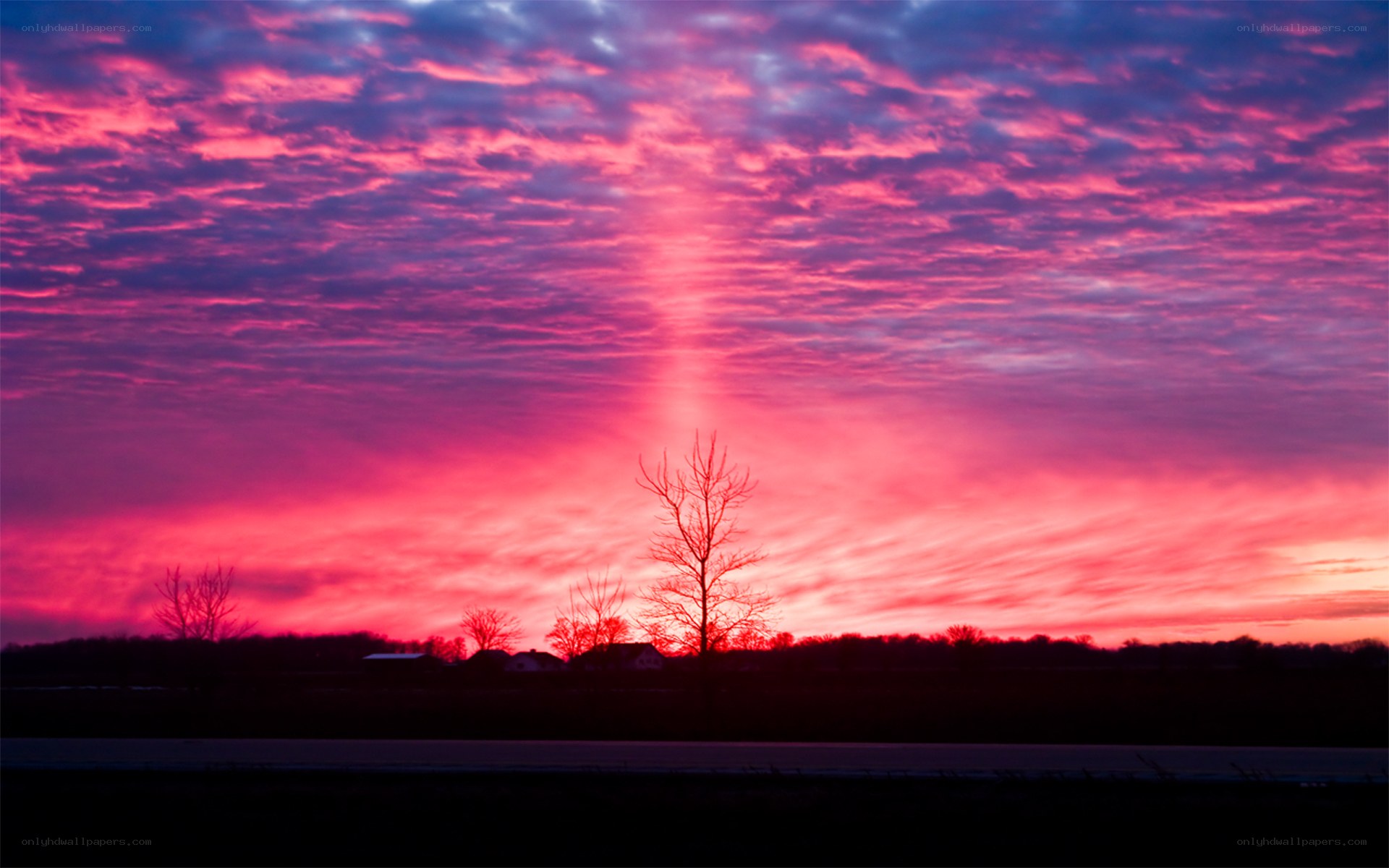 Vivid sunset with pink clouds