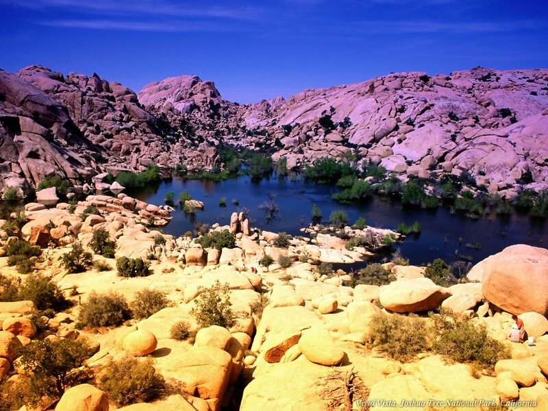 Vivid Vista in Joshua Tree