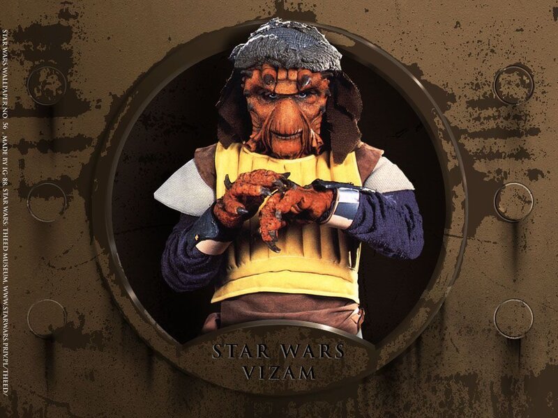 Vizam Character