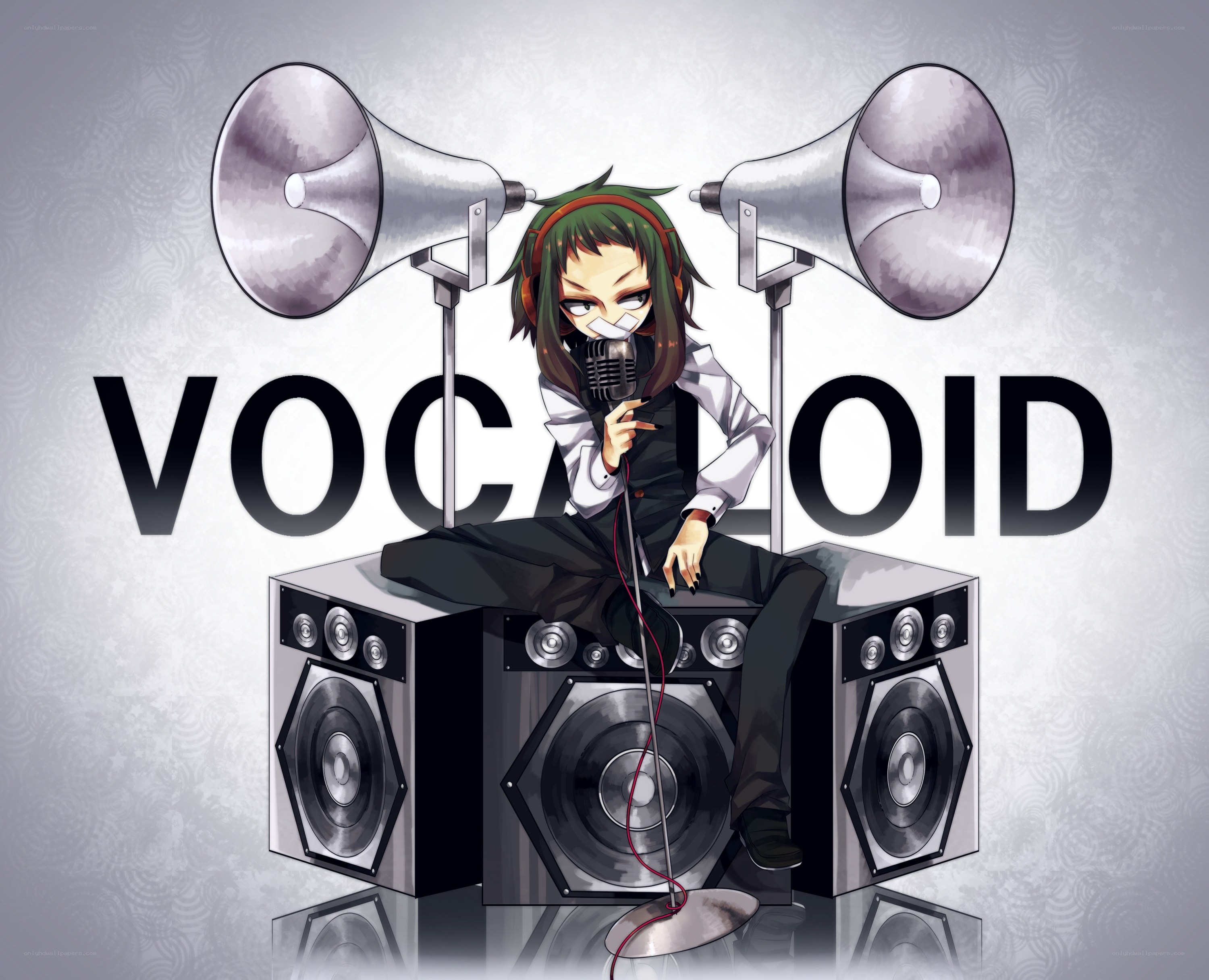 Vocaloid character with speakers
