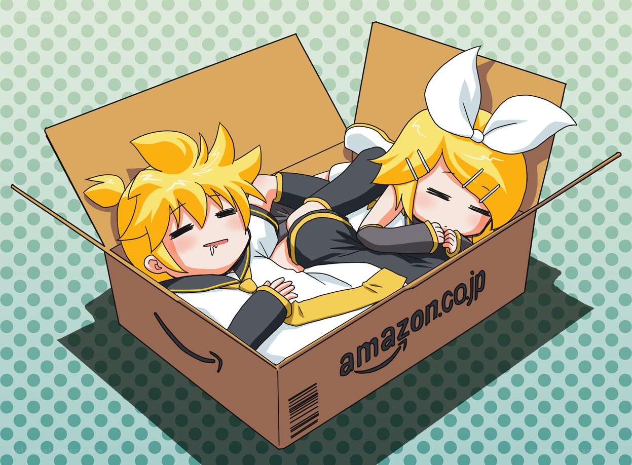 Vocaloid twins in a box